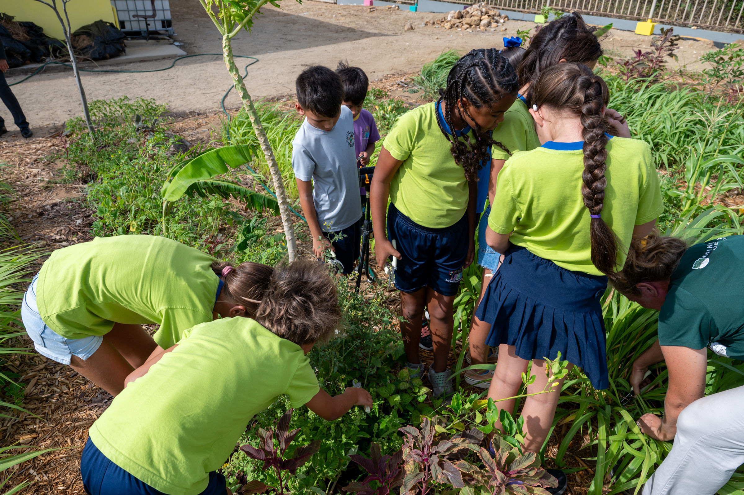 Maintenance of our Cunucu di Alimentacion