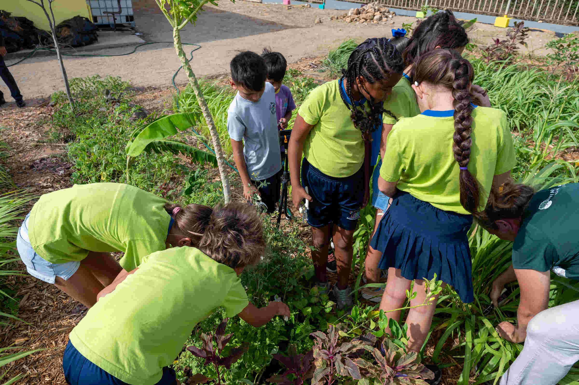 Maintenance of our Cunucu di Alimentacion