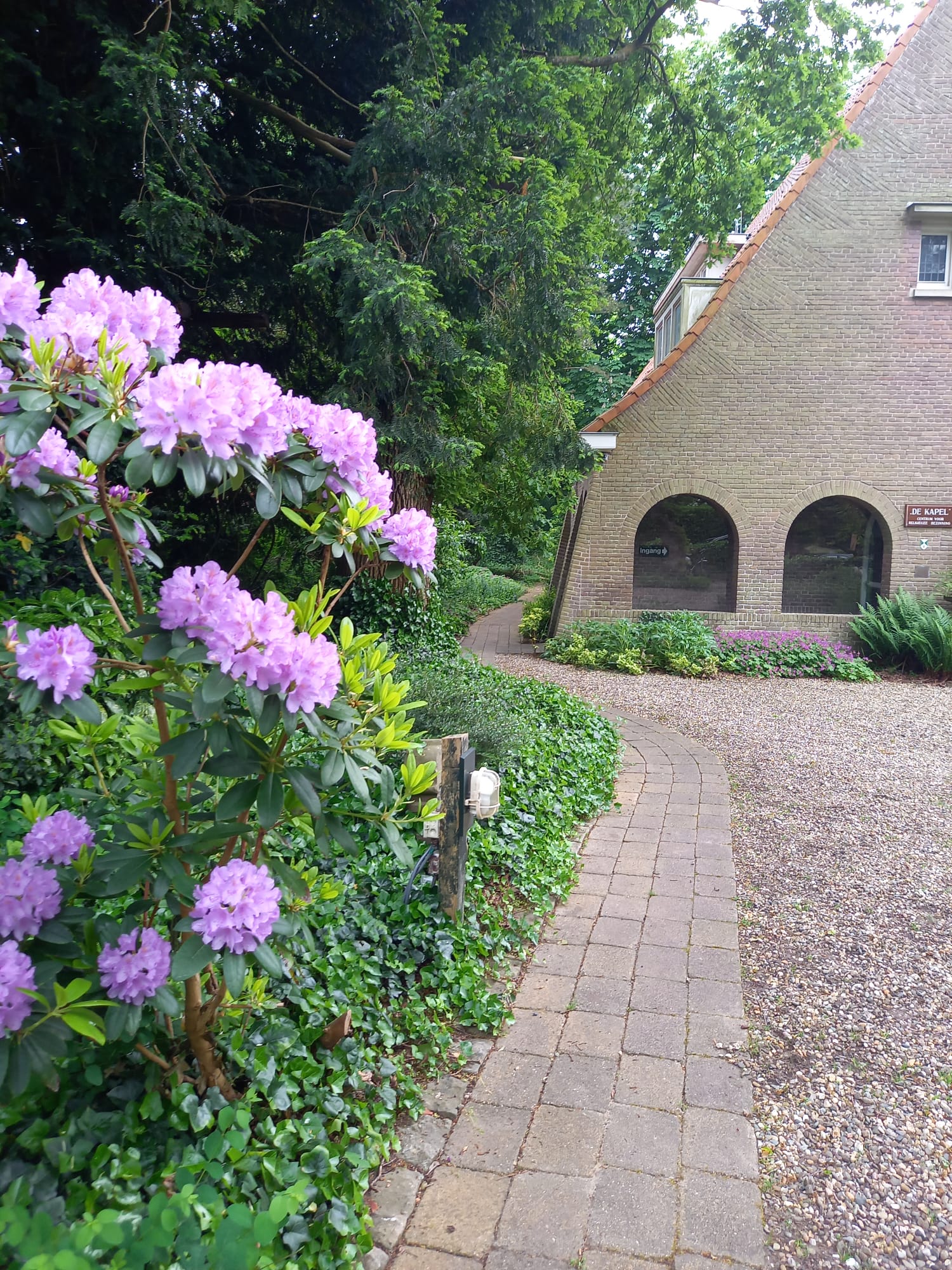 Groene vingers gezocht