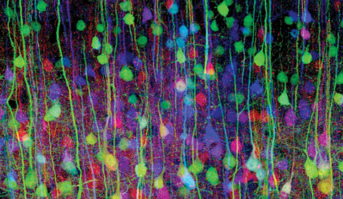 Financial administration