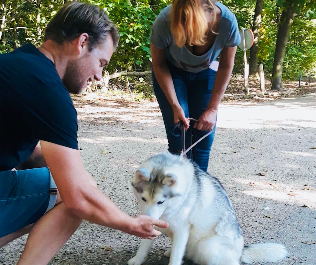 Asielhond Wandelen | Vrijwilligerscoördinator Hilversum (NIEUW)