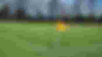 Groenonderhoud Voetbalvereniging