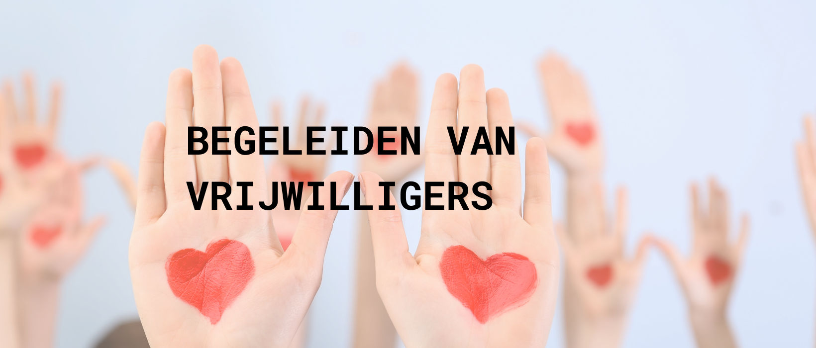 Begeleiden van vrijwilligers