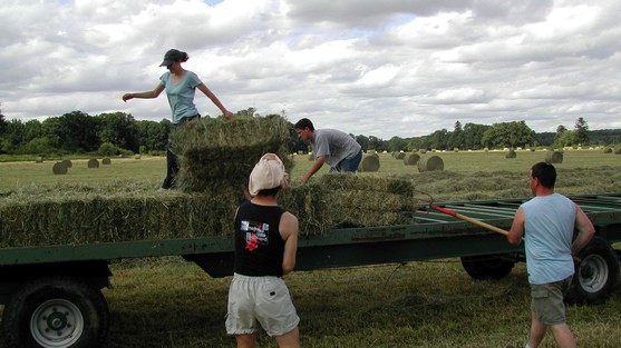 Verbod op nevenwerkzaamheden – zoals vrijwilligerswerk – mag niet meer vanaf 1 augustus*.