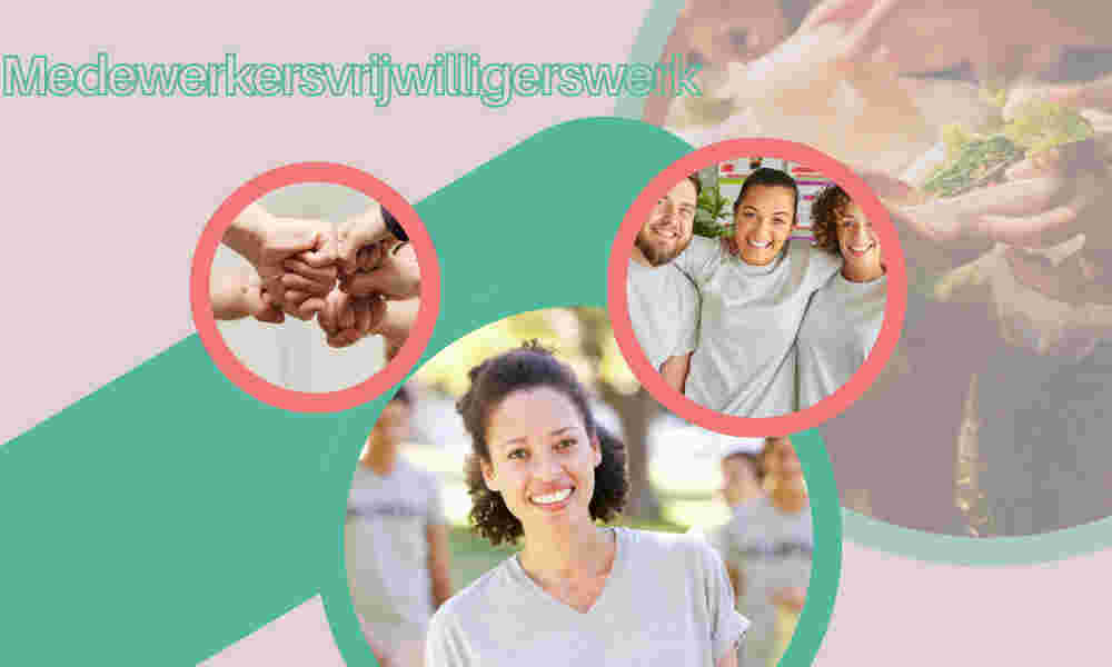 Medewerkersvrijwilligerswerk, Maatschappelijke inzet van werknemers