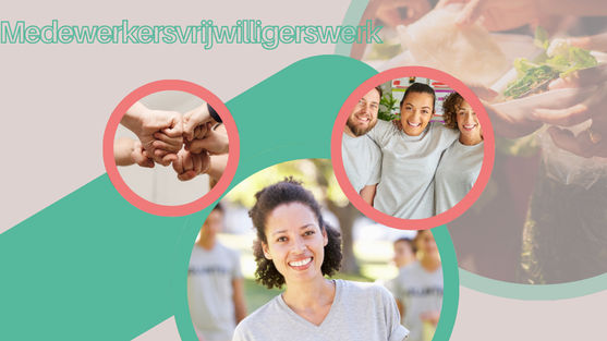 Medewerkersvrijwilligerswerk, Maatschappelijke inzet van werknemers