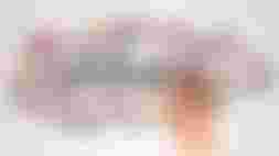 Coördinator Lezingen