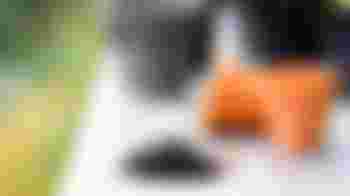 Maatje voor kleine tuin werkzaamheden - 't Meera