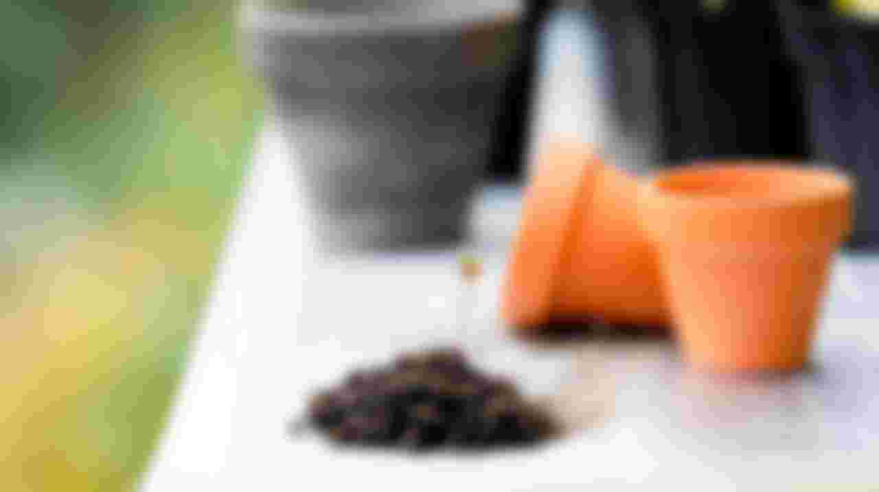 Maatje voor kleine tuin werkzaamheden - 't Meera