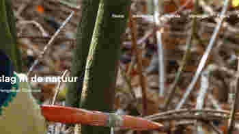 Organisatie natuurbeheer