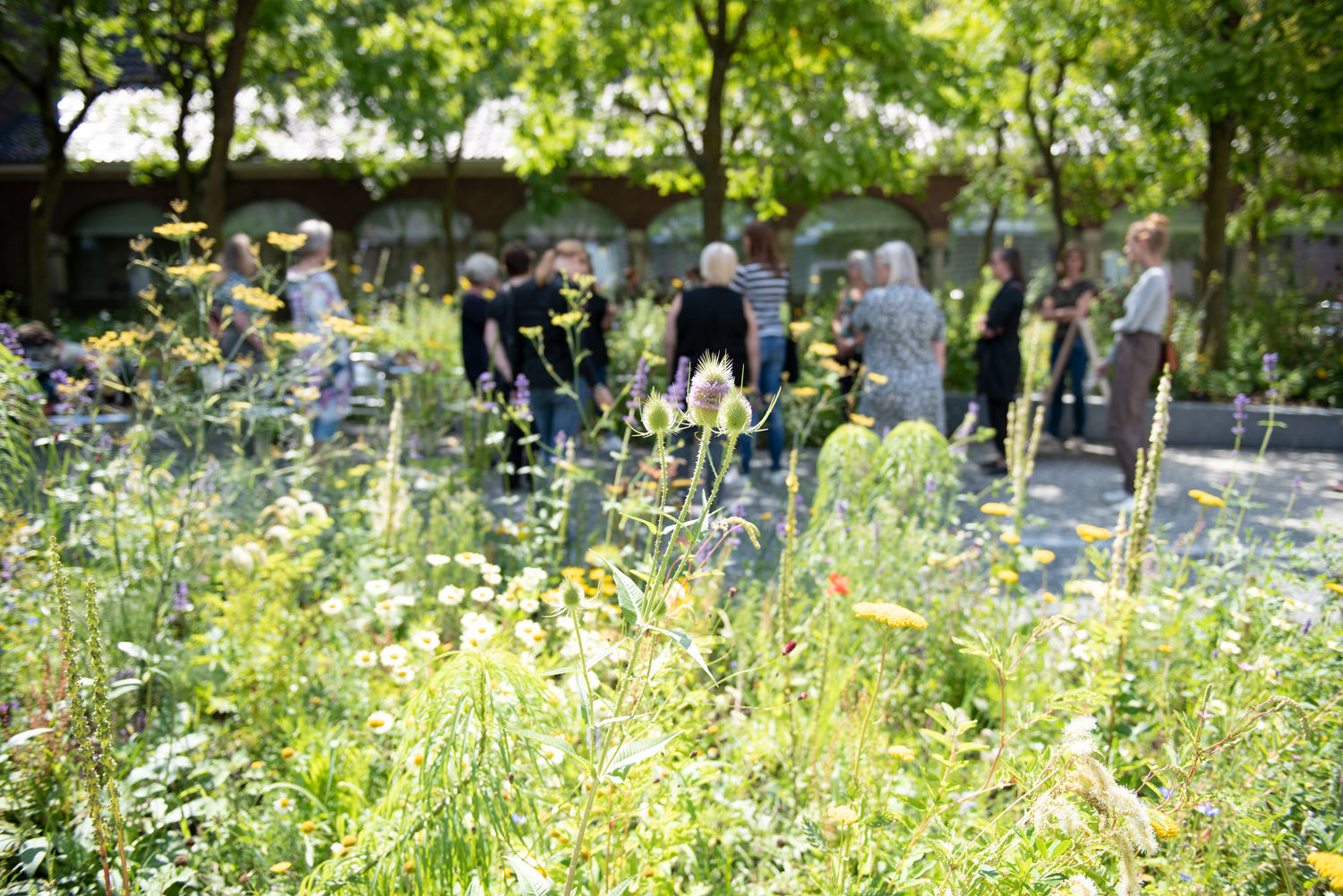 Groene vingers gezocht voor de tuinen van Rijksmuseum Twenthe!