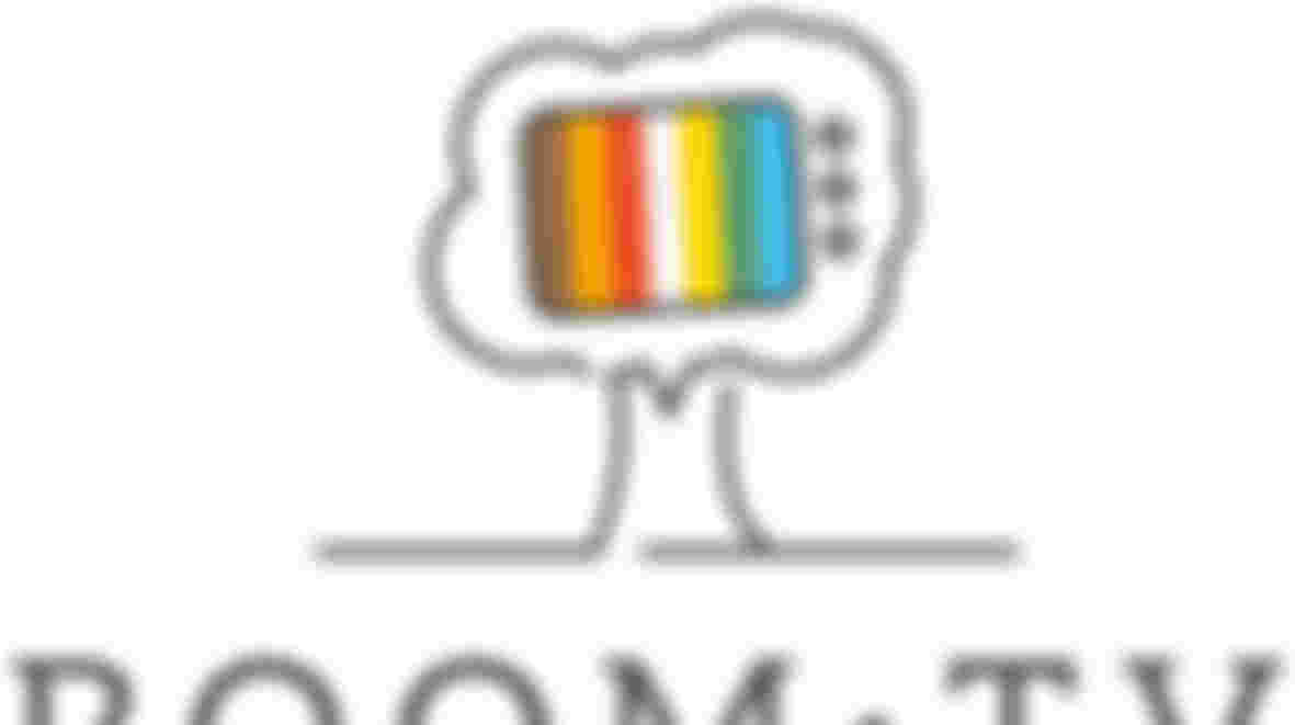 Lichttechnicus BOOM TV m/v (89)