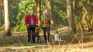 Ben jij rustig en geduldig dan ben ik op zoek naar jou!
