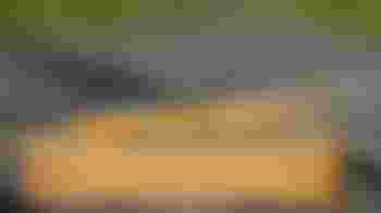 Hey verteller, we hebben jou broodnodig als rondleider in het Bakkerijmuseum