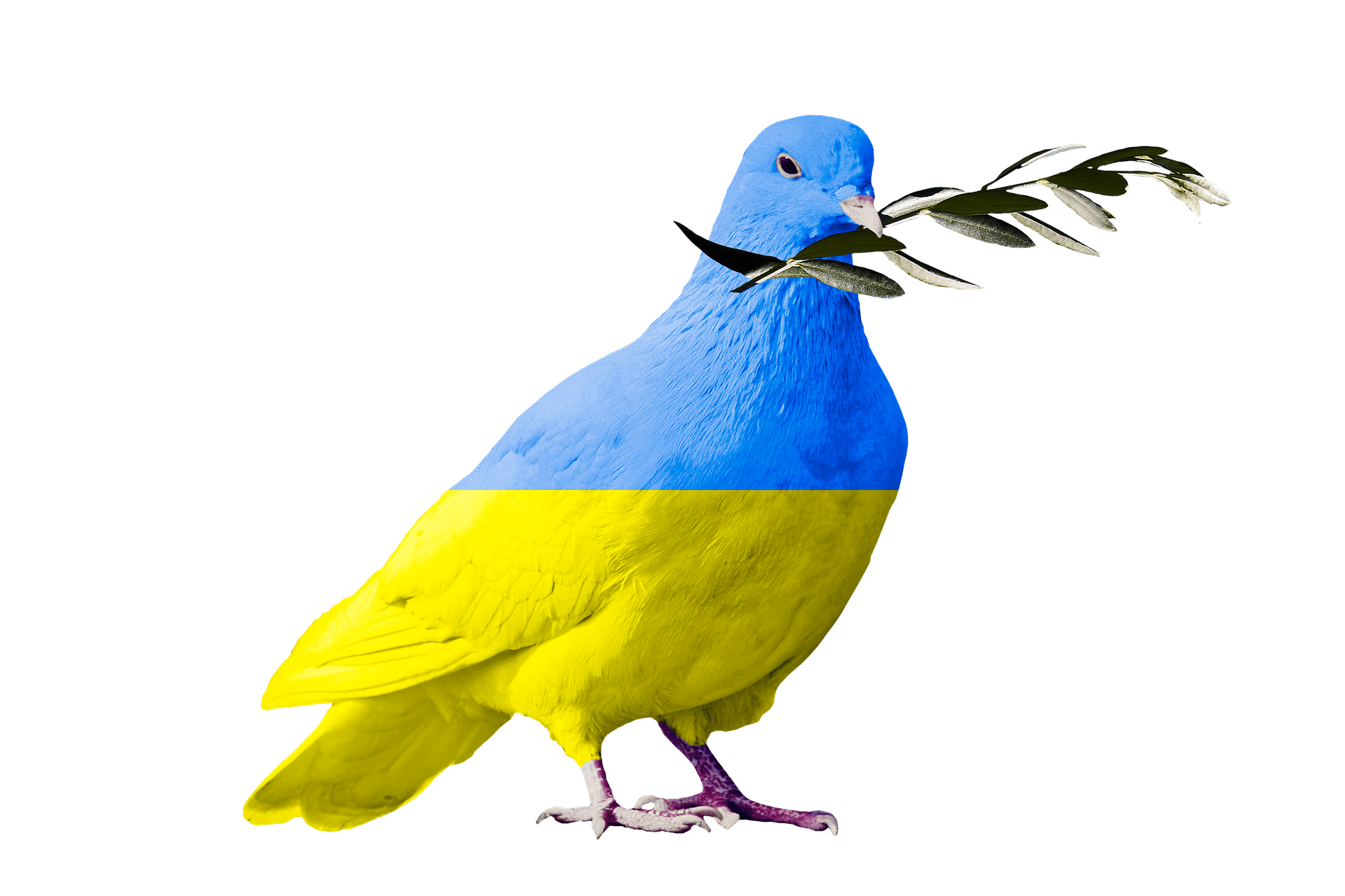 Hulp gezocht voor Oekraïens gezin!