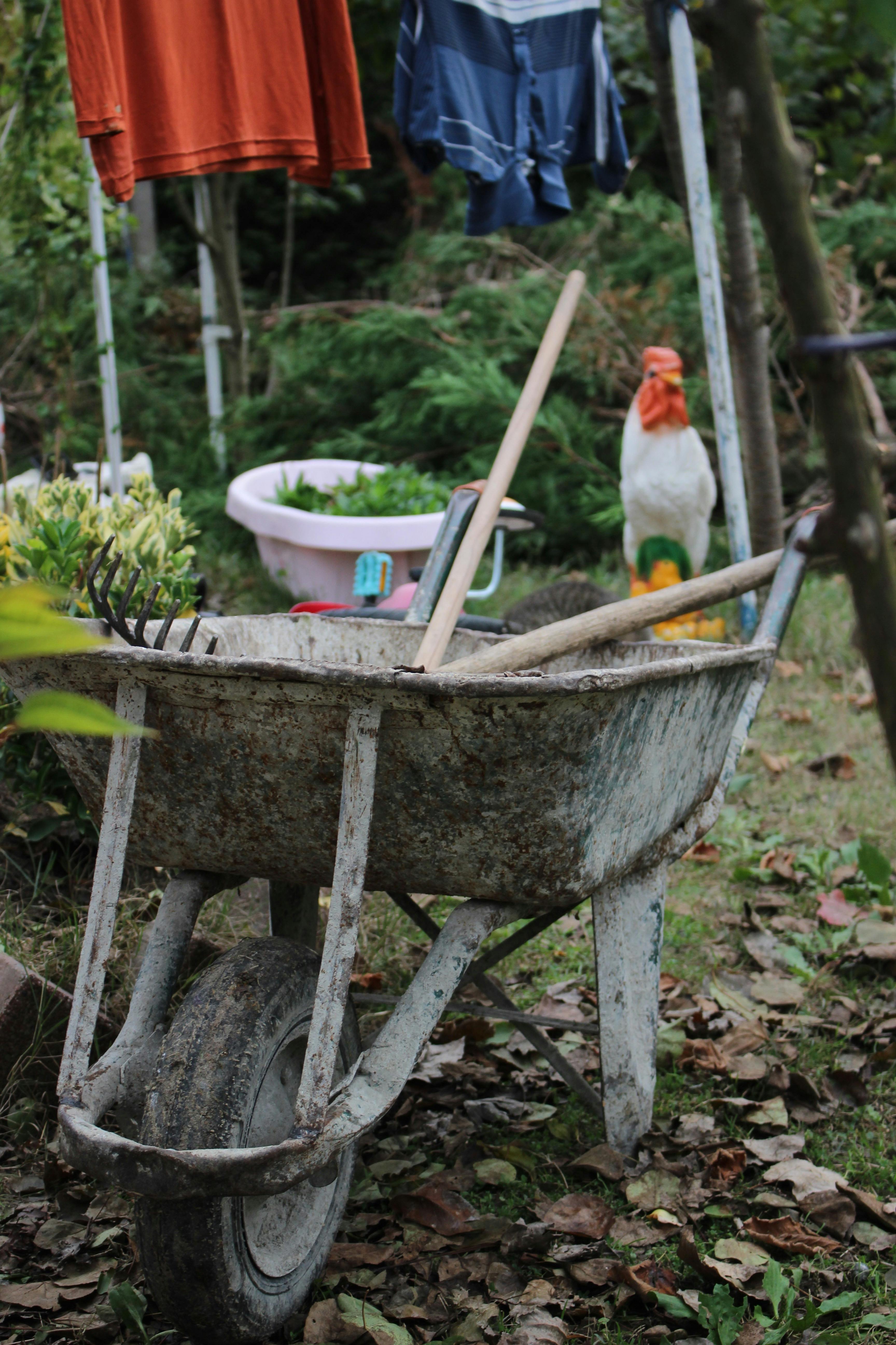 Heb jij groene vingers? Deze tuin kan jouw handen wel gebruiken.