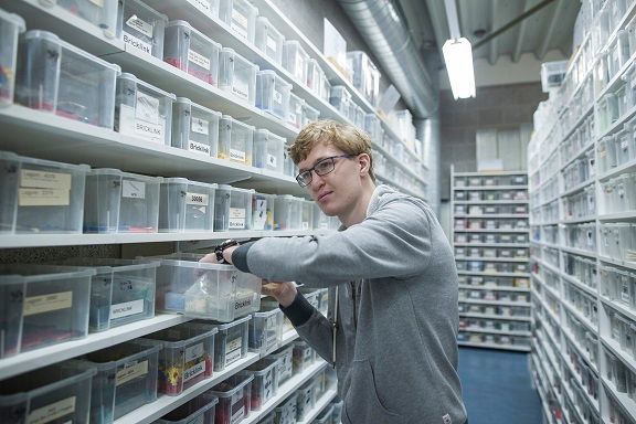 Kom jij samenwerken en elkaar versterken?