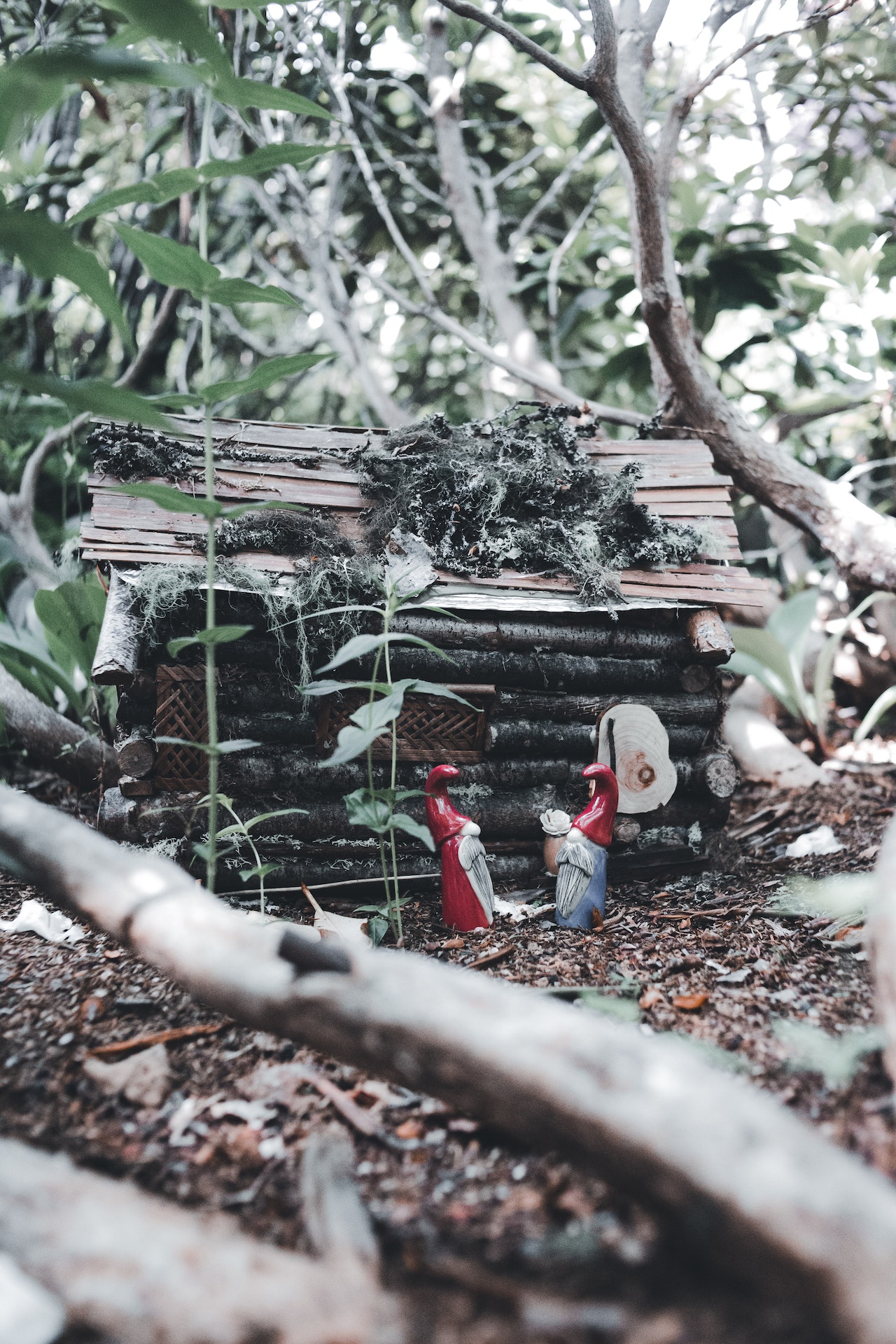 Tuinvrijwilliger kleine klusjes