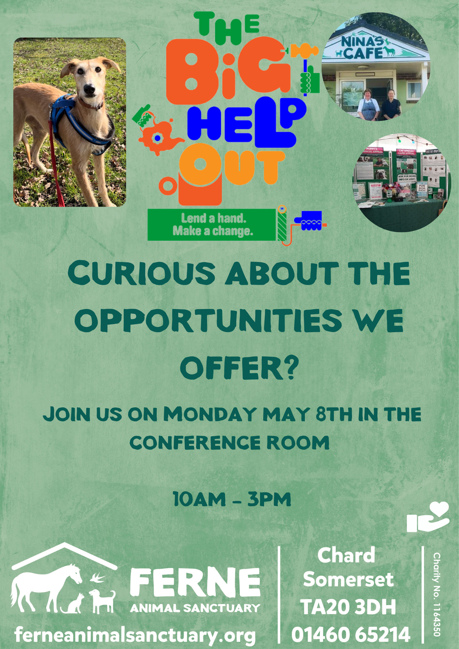 Ferne Animal Sanctuary Open Day- The Big Help Out Somerset