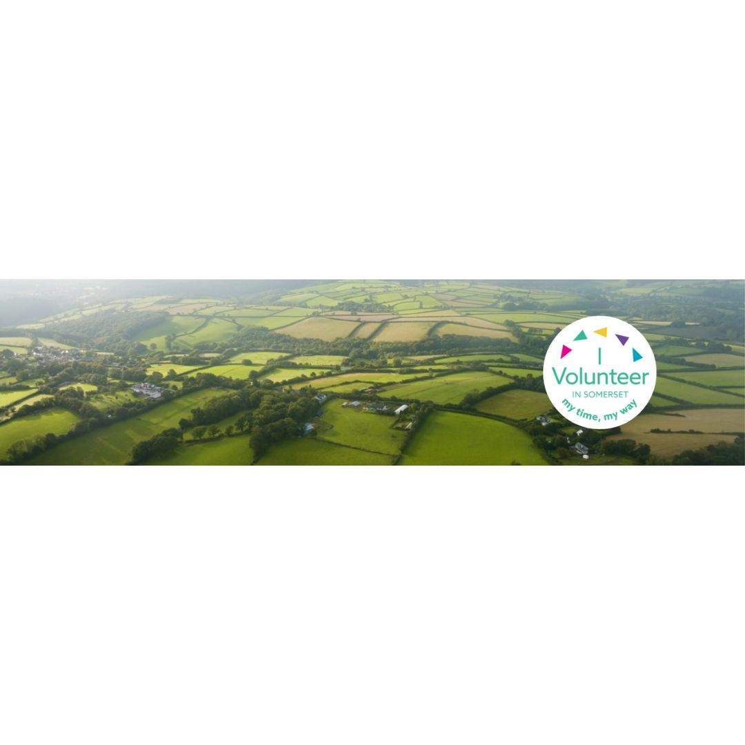 LinkedIn Banner - I Volunteer in Somerset