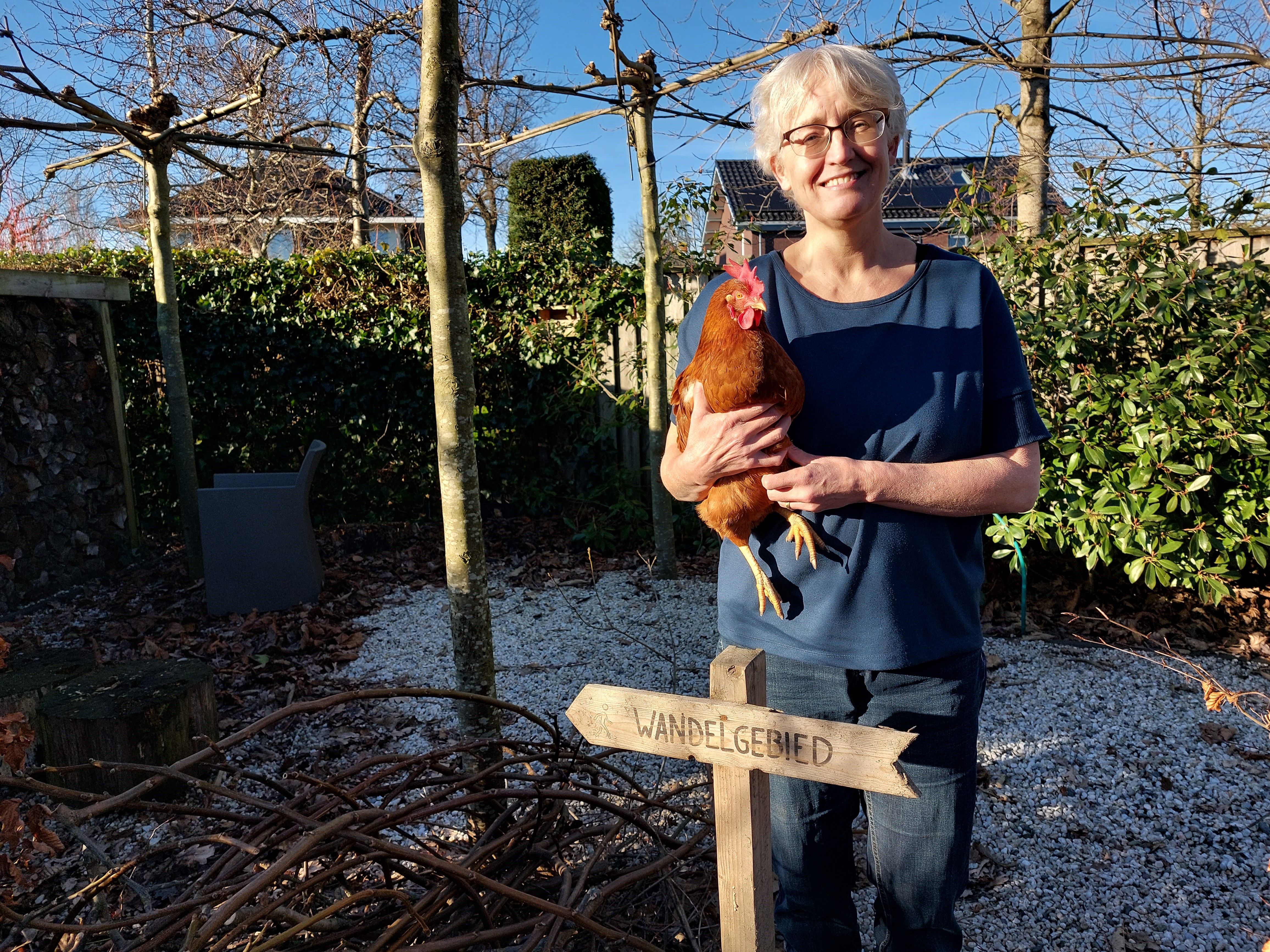 IK ZOEK EEN BABBELTJE OP: BIJEN, WANDELEN EN KIPPEN