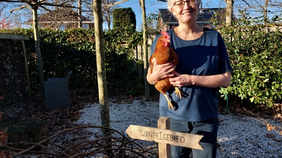 IK ZOEK EEN BABBELTJE OP: BIJEN, WANDELEN EN KIPPEN