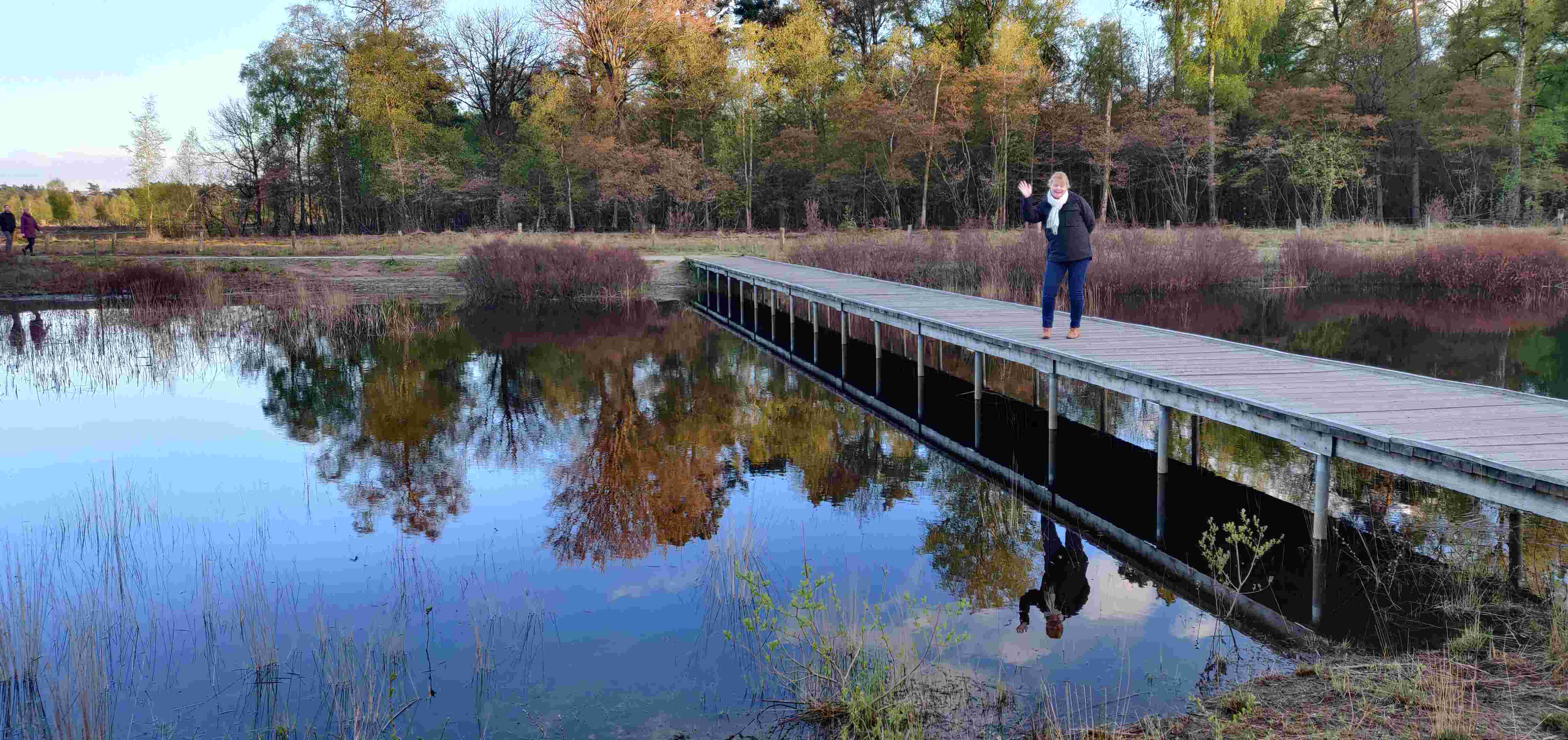 de Natuur als Spiegel