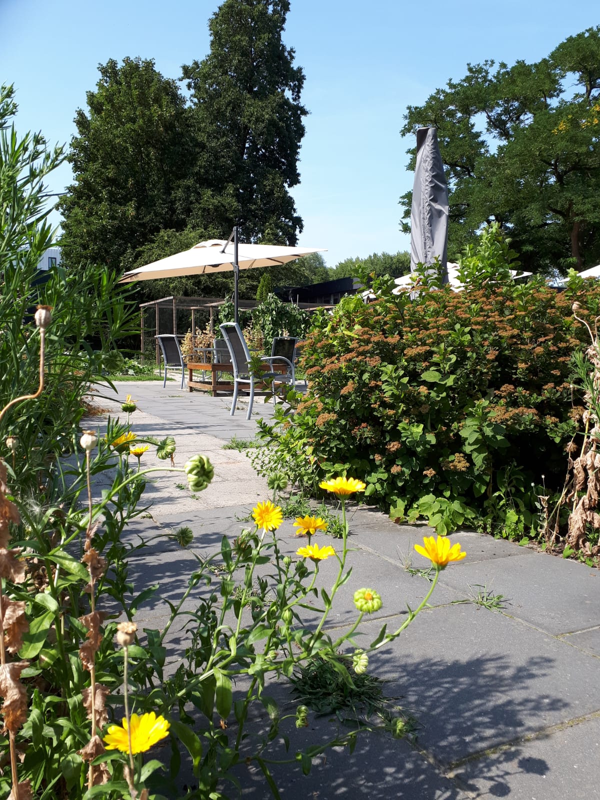 Gastheer/ gastvrouw vrijdagochtend