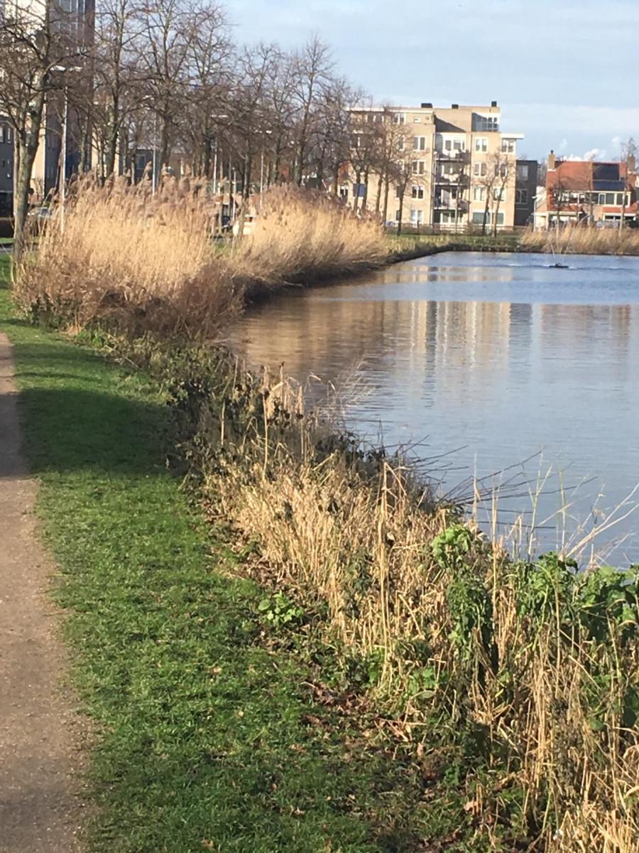 Vissen langs de Vecht!