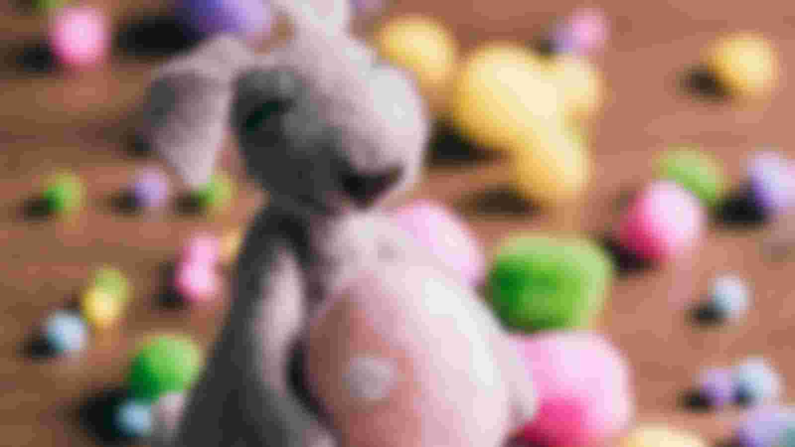 Vrijwilliger voor Casa di mama gezocht!