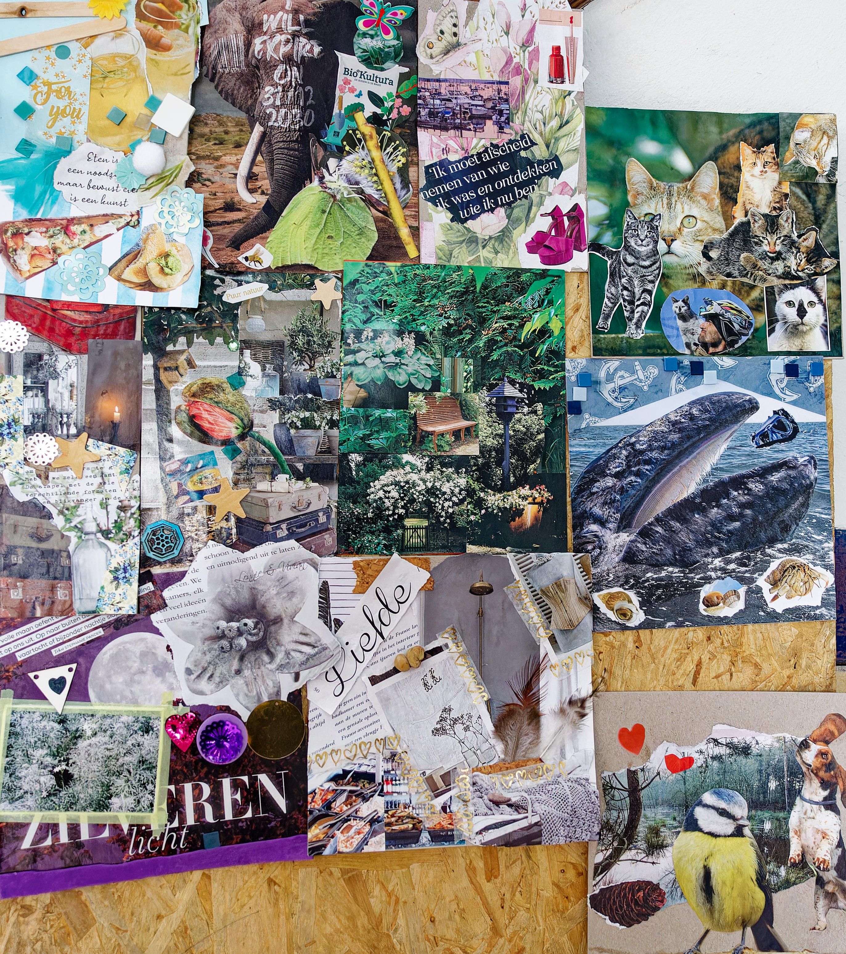 Creatief talent gezocht!