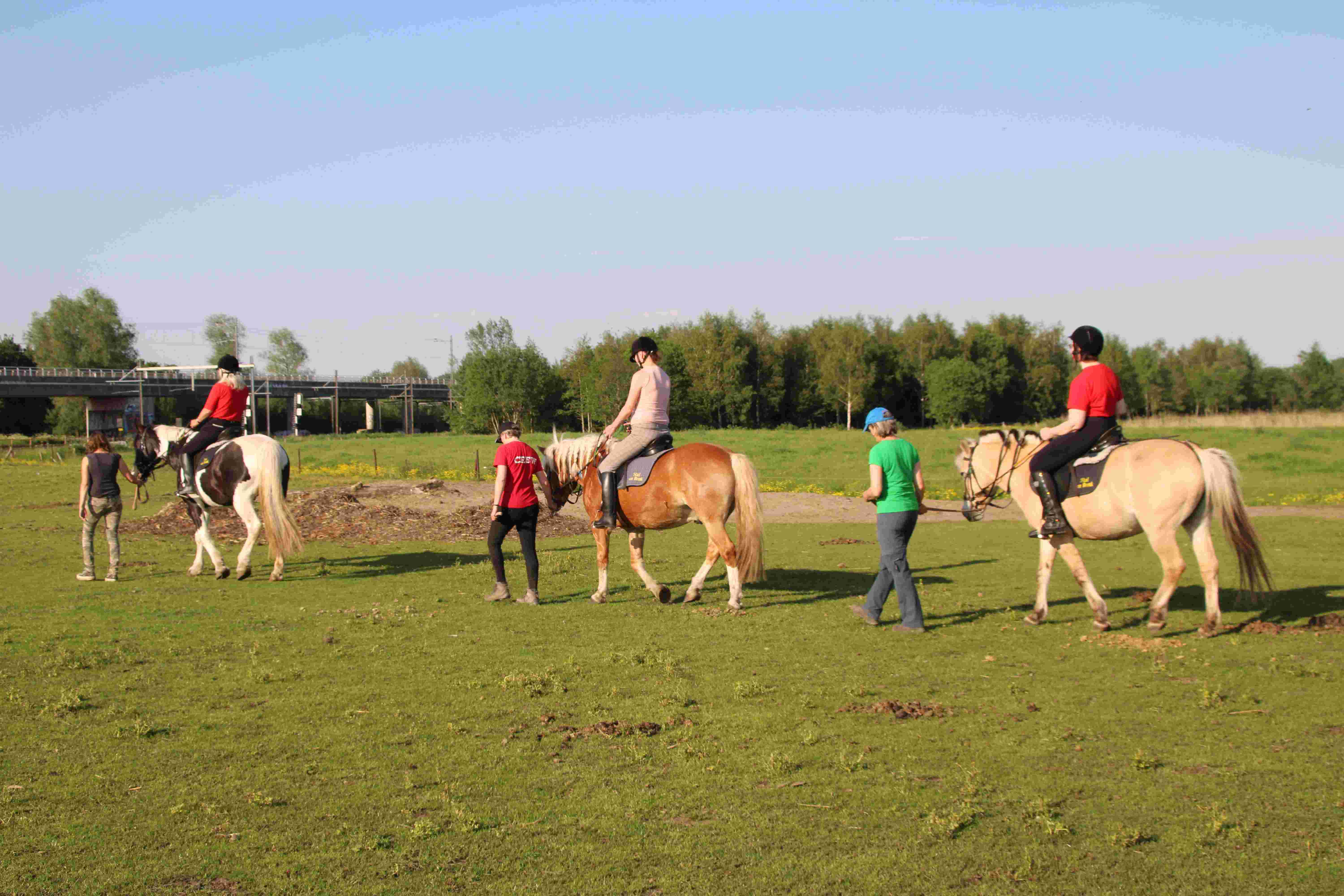 Begeleider paardrijles mensen met een beperking