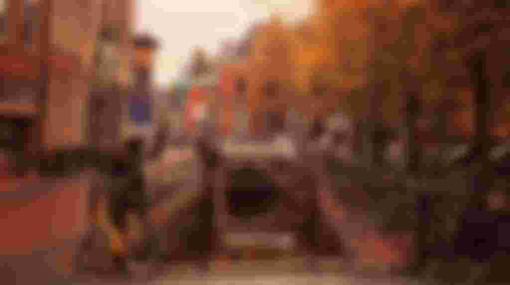 Wil je meer weten over Utrecht? Word dan maatje van Kees!