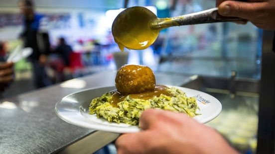 Kookmaatje gezocht voor 58-jarige meneer in Lunetten