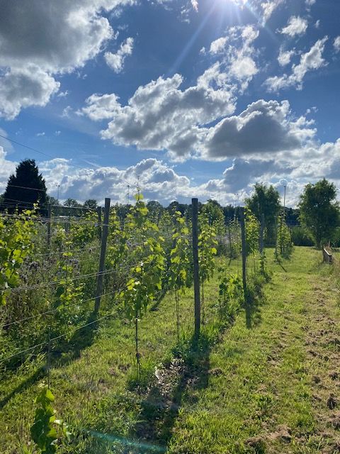 Onderzoeker biodiversiteit / bioloog