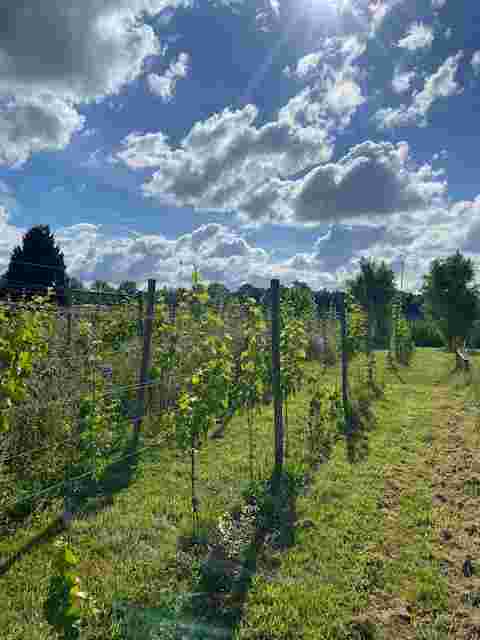 Onderzoeker biodiversiteit / bioloog