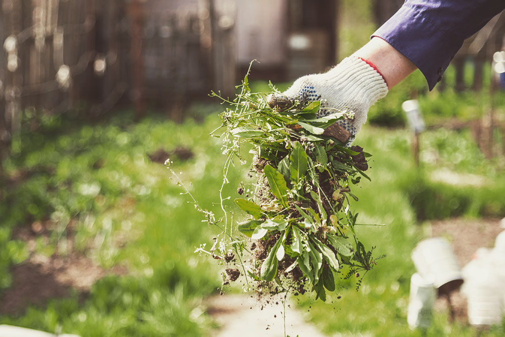 Tuinvrijwilligers gezocht!