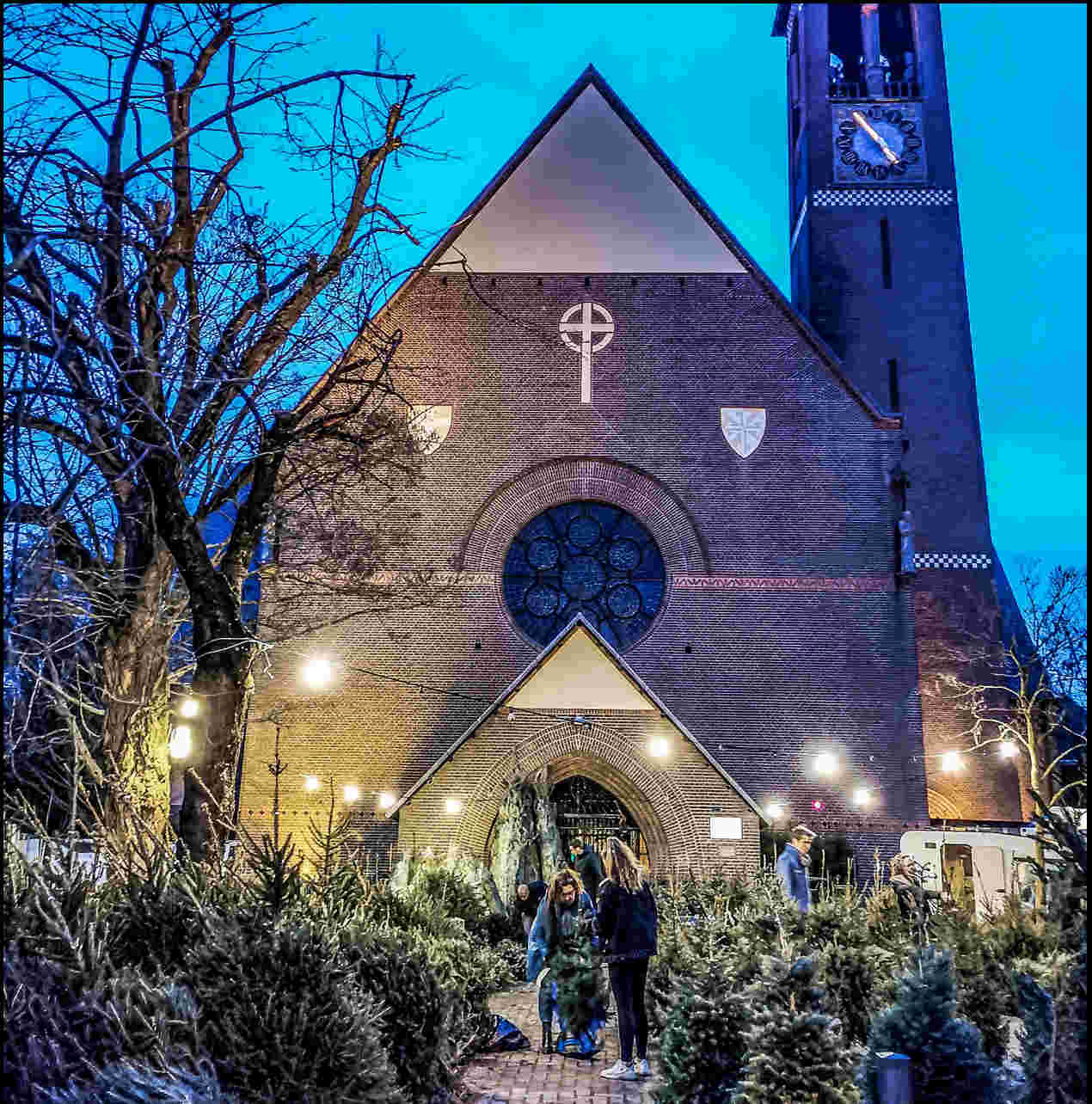 Vrijwilligerscoördinator