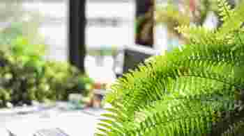 Secretaris Milieucentrum Utrecht