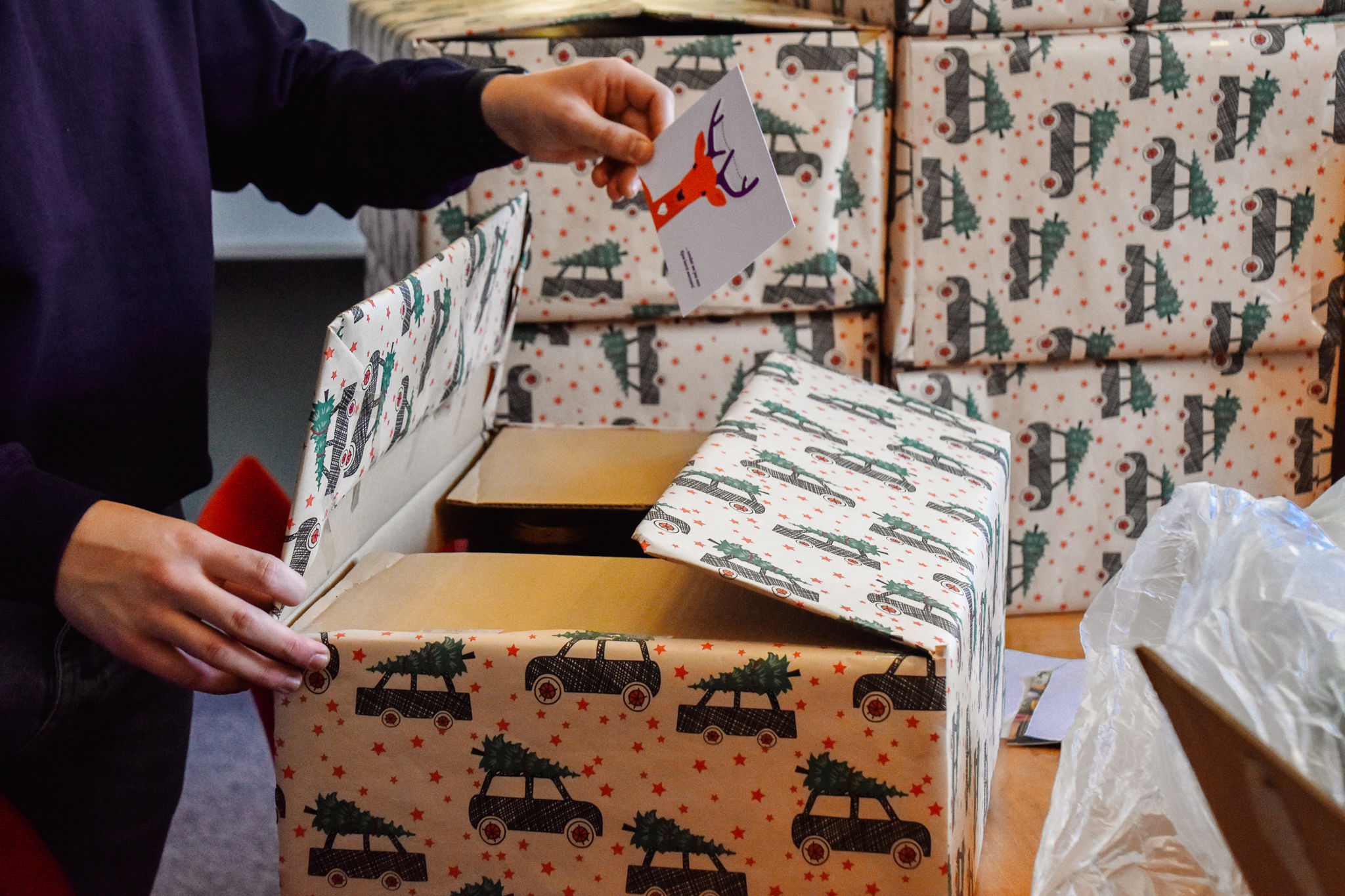 Traineeship of stage: Coördinatie Kerstpakkettenactie 