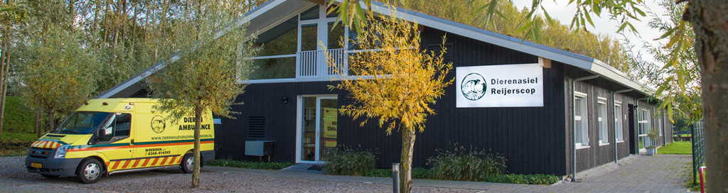 Baliemedewerker met een hart voor dieren