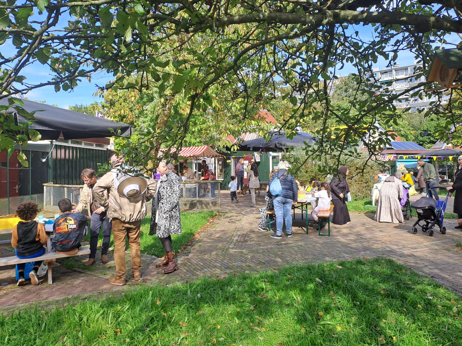 Hulp bij social-media en communicatie