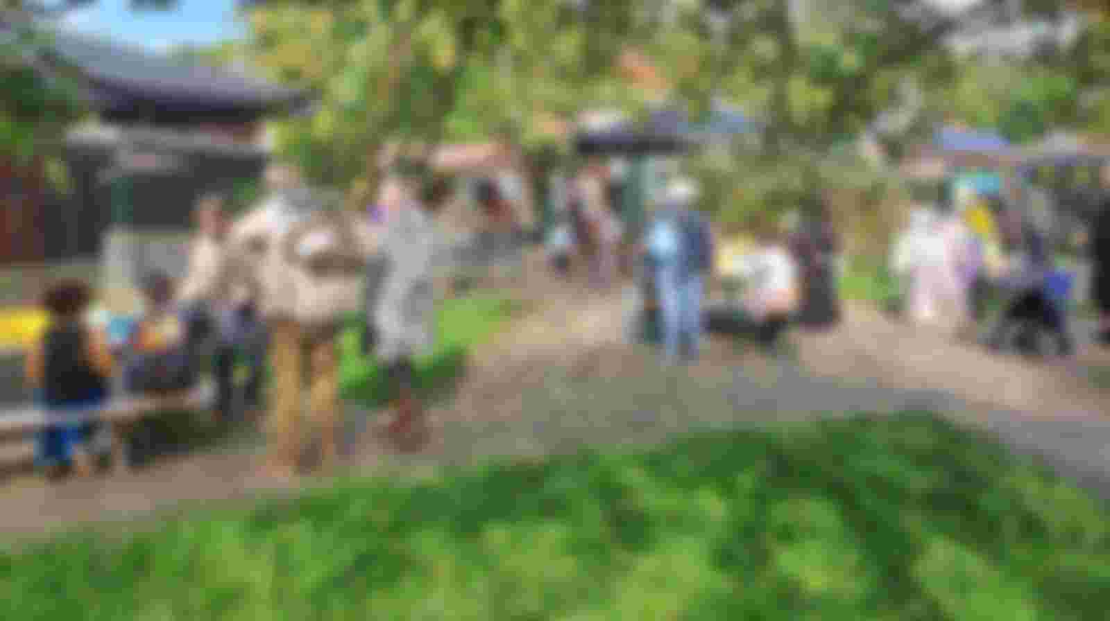 Hulp bij social-media en communicatie