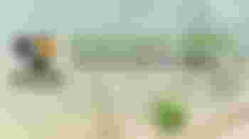 Speelgoed tellen en checken