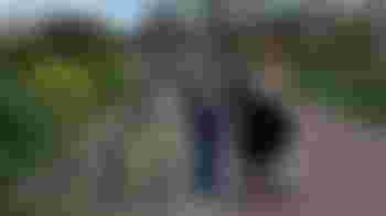 Maatjes wijkverpleging gezocht