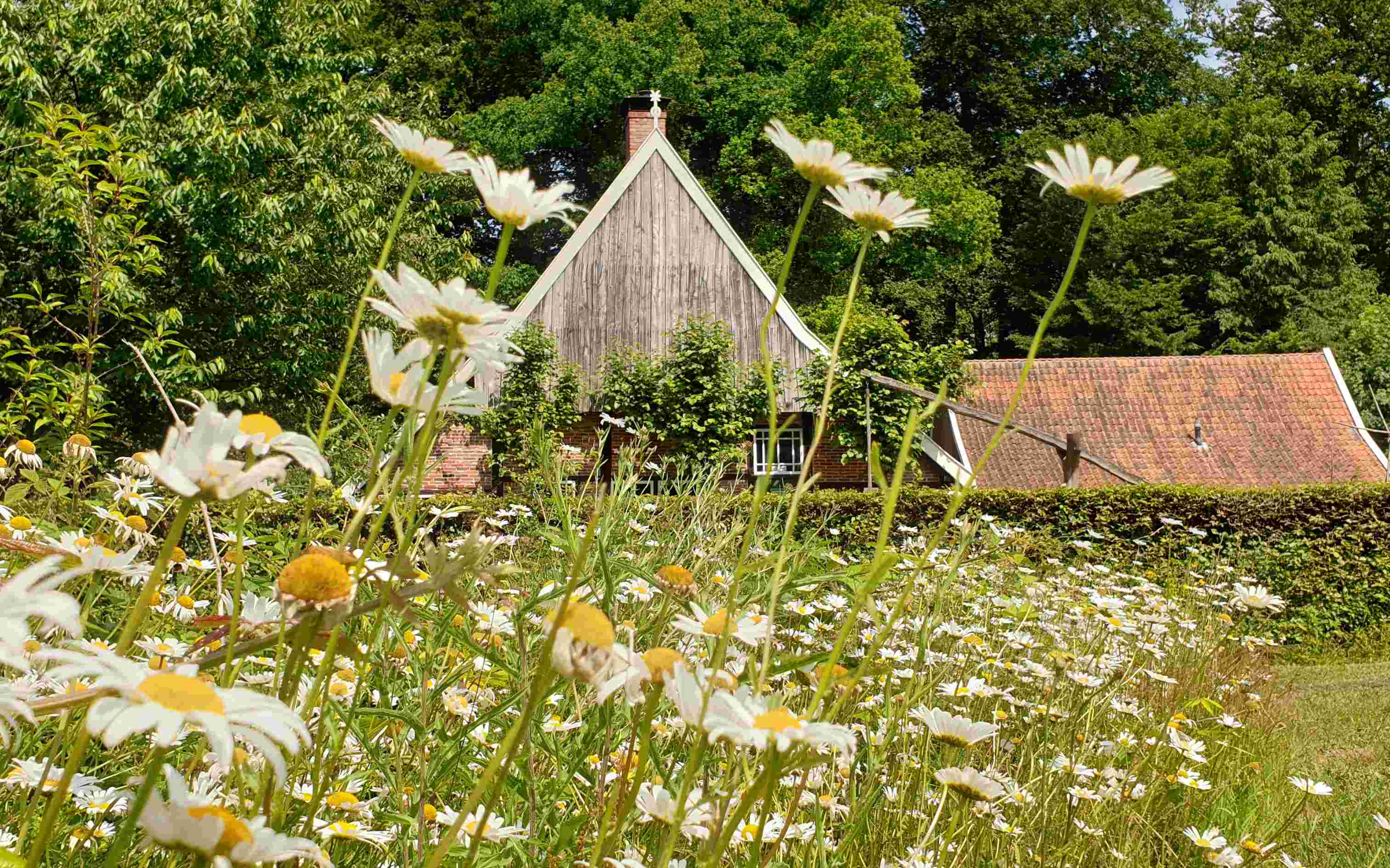 Gastheer/gastvrouw - bezoekers ontvangen in Lammerinkswönner