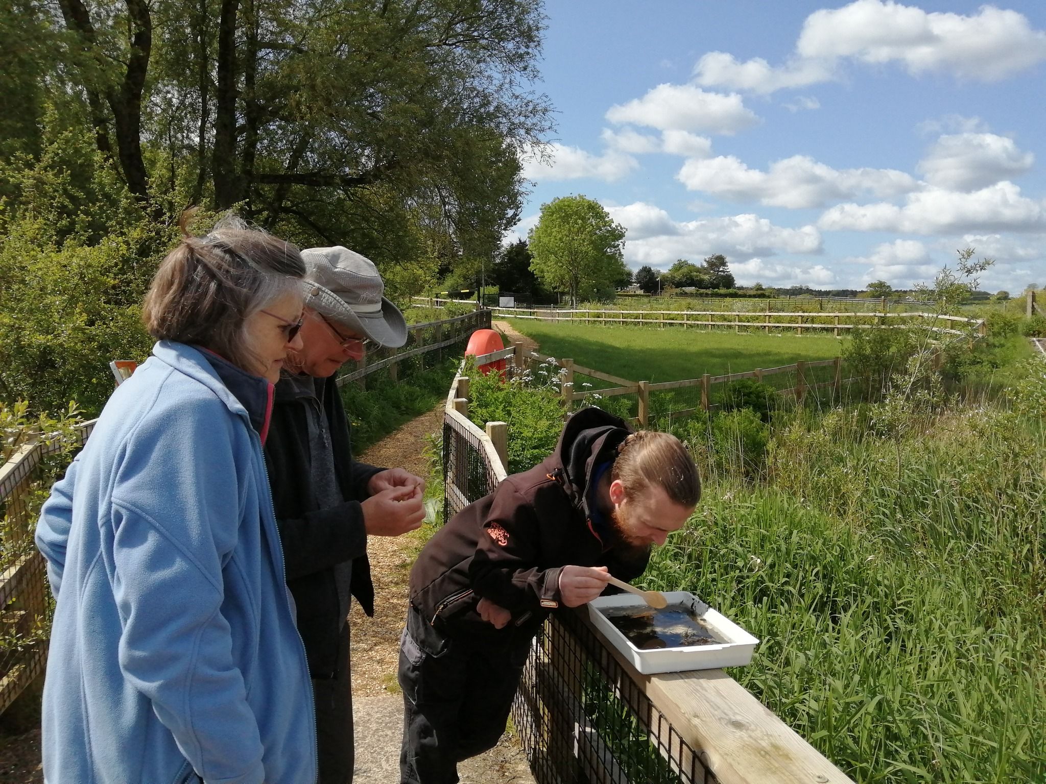 Aquatic Invertebrate Survey