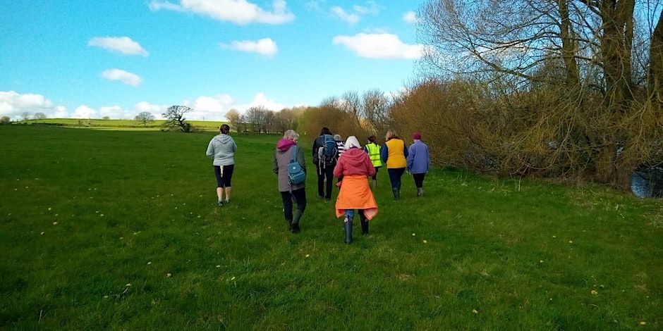 November Wildlife Walk