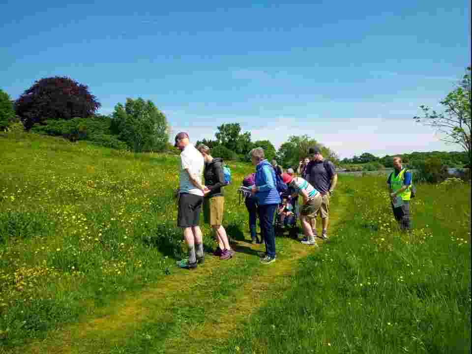 Wildflower ID walk