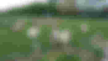 volunteers for animal park de Menning